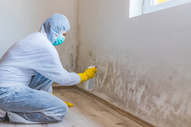 Licensed Commercial Mold Remediation service in Gilbert, AZ - WQB Mold Removal