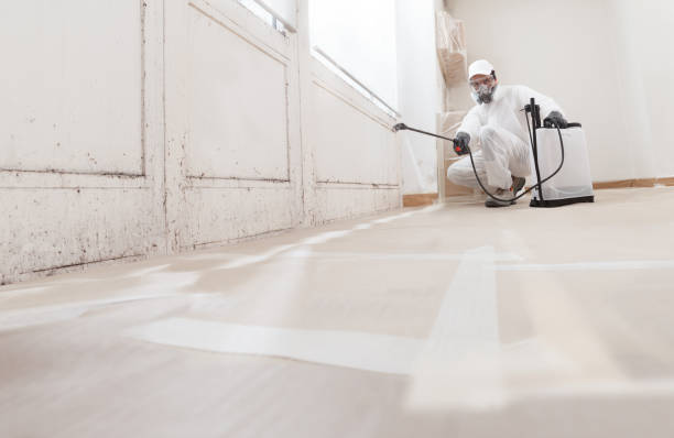 24/7 Emergency Commercial Mold Remediation experts in Gilbert, AZ