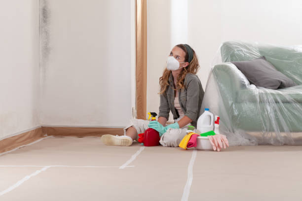 Reliable Commercial Mold Remediation contractor in Gilbert, AZ by WQB Mold Removal