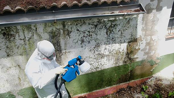 Top rated local Commercial Mold Remediation specialists in Gilbert, AZ